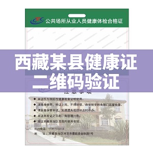 西藏某县健康证系统