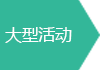 大型活动票务核验